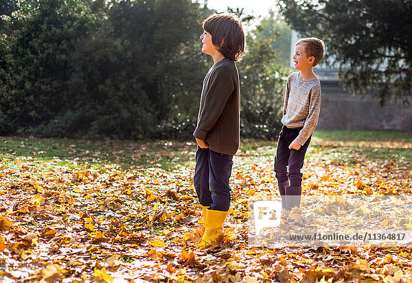 Zwei Jungen spielen im Herbst im Freien  im Herbstlaub