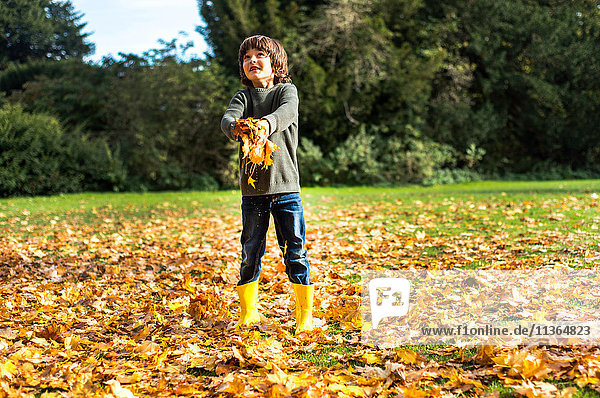 Junge  im Freien  sammelt Herbstblätter