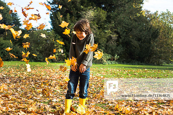 Junge  im Freien  wirft Herbstblätter
