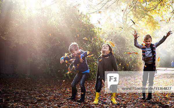 Drei kleine Jungen  die im Freien spielen und Herbstblätter werfen