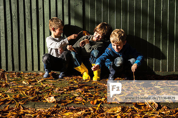 Drei kleine Jungen  an einem Zaun sitzend  umgeben von Herbstlaub
