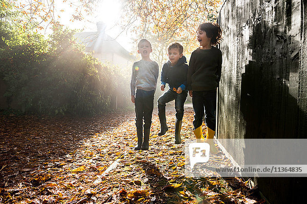 Drei kleine Jungen  die im Freien spielen und im Herbstlaub springen