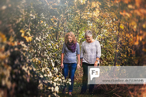 Mutter und erwachsene Tochter beim Herbstspaziergang im Wald