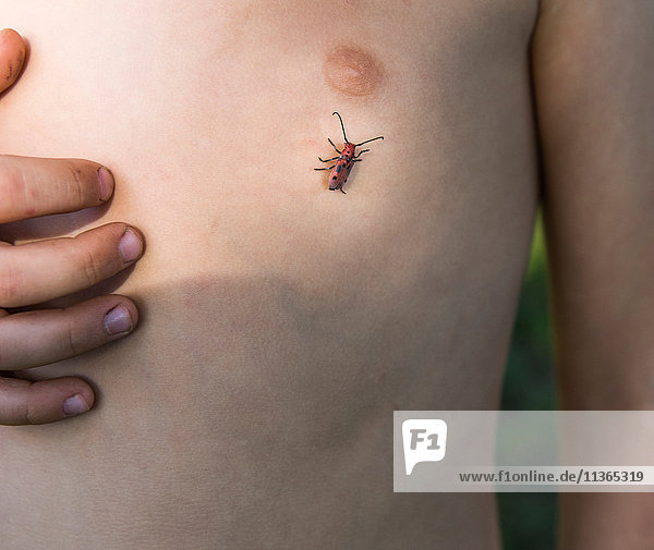 Junge mit Insekt auf der Brust