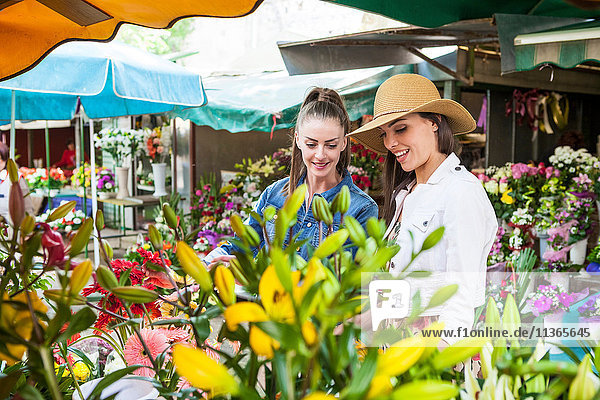 Young female tourist selecting flowers at market stall  Split  Dalmatia  Croatia