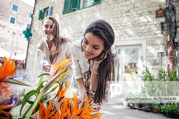 Female tourists looking at flowers on market stall  Split  Dalmatia  Croatia