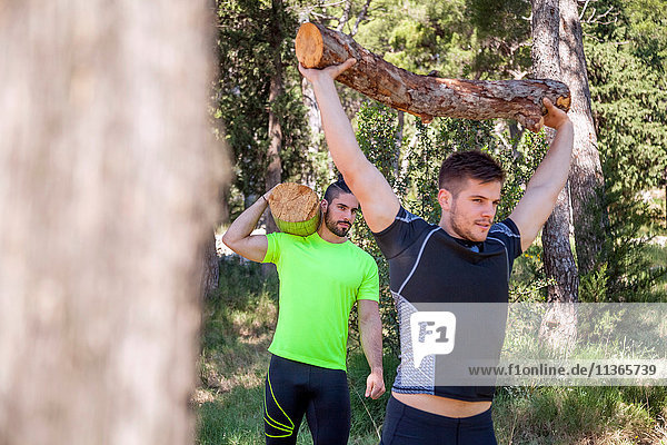 Two young men doing weightlifting training with logs in forest  Split  Dalmatia  Croatia