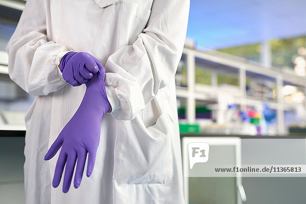 Ausschnitt eines Wissenschaftlers im Labor beim Anziehen von Latexhandschuhen