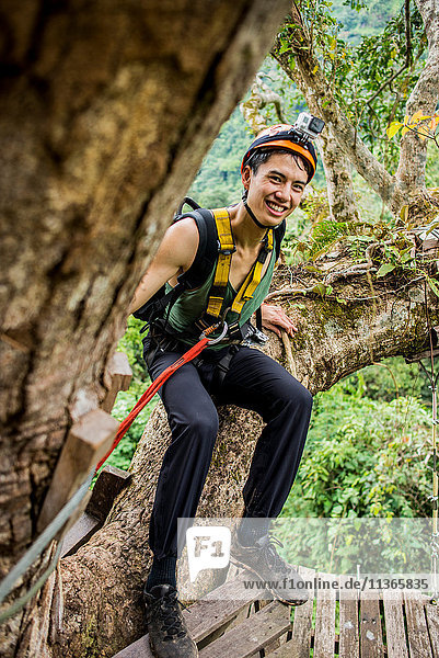 Mann sitzt in einem Baum  trägt ein Geschirr und schaut lächelnd in die Kamera  Provinz Champassak  Paksong  Laos