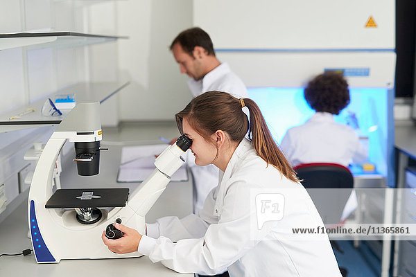 Wissenschaftlerin im Labor beim Blick durchs Mikroskop