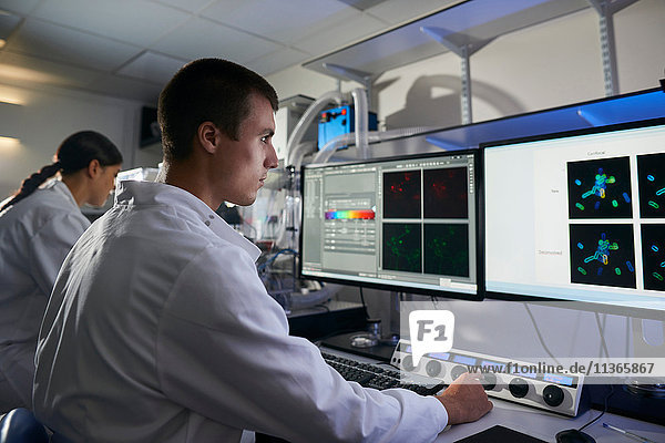 Scientists in laboratory using computer