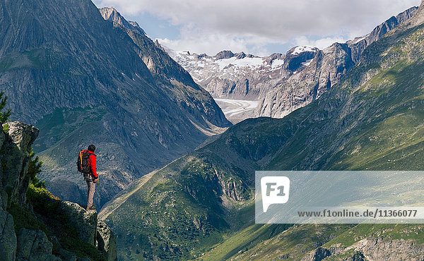 Einzelner männlicher Bergsteiger mit Blick vom Grat  Aletschgletscher  Kanton Wallis  Schweiz