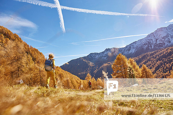 Woman hiking  rear view  low angle view  Schnalstal  South Tyrol  Italy