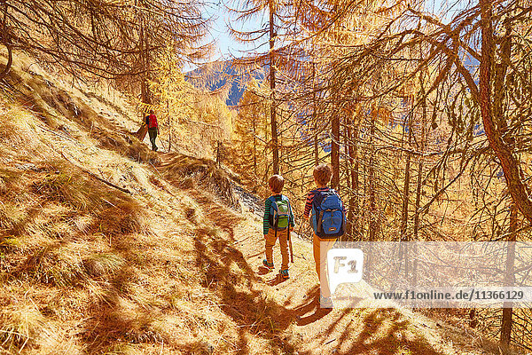 Frau beim Wandern  Rückansicht  Schnalstal  Südtirol  Italien