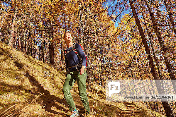 Frau beim Wandern  Ausblick  Tiefblick  Schnalstal  Südtirol  Italien