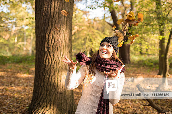 Junge Frau im Wald  die Herbstblätter in die Luft wirft
