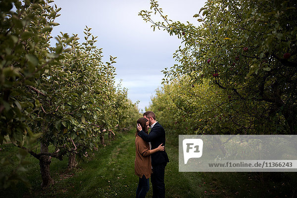Romantisches Paar mittlerer Erwachsener umarmt sich im Obstgarten