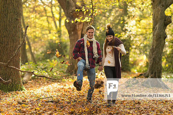 Junges Paar geht durch den Wald  hält sich an den Händen  lächelt