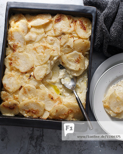 Kartoffelgratin im Backblech