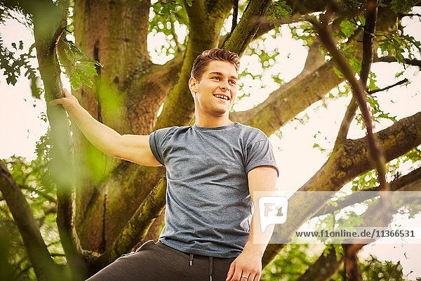Man training in park  taking a break whilst climbing tree