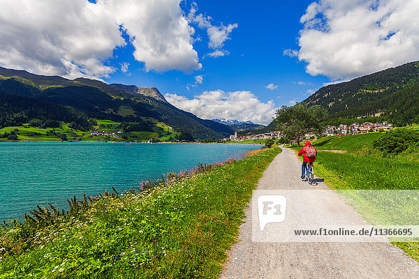 Rückansicht eines älteren Mannes beim Radfahren am See im Vinschgau  Südtirol  Italien