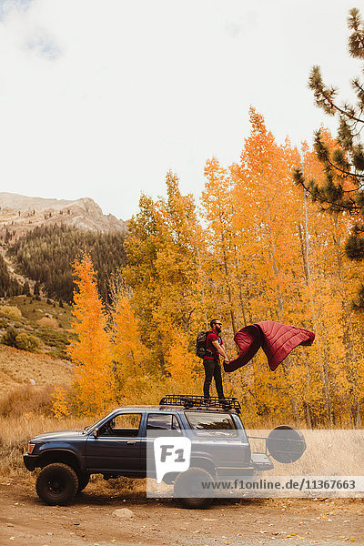 Mann schüttelt Schlafsack auf Fahrzeugdach im Herbstwald  Mineral King  Sequoia National Park  Kalifornien  USA