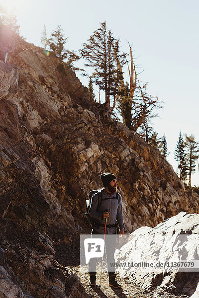 Männlicher Wanderer auf Bergpfad  Mineral King  Sequoia-Nationalpark  Kalifornien  USA