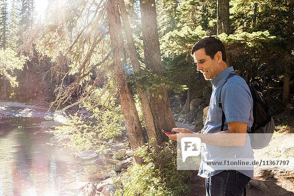 Senior male hiker looking at smartphone on forest riverbank  Canmore  Alberta  Canada