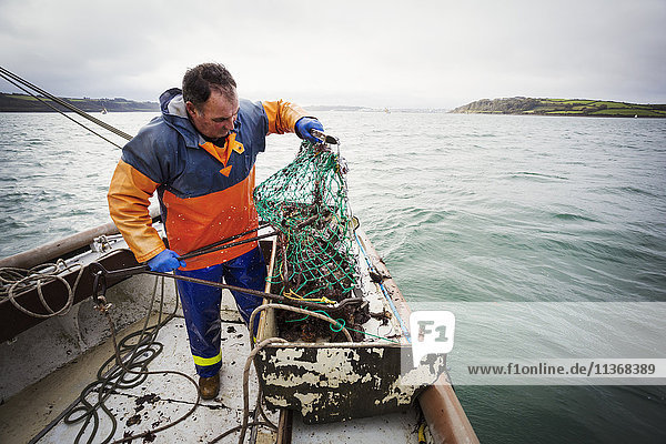 Traditionelle nachhaltige Austernfischerei. Ein Fischer  der ein Fischkutter auf einem Bootsdeck öffnet.