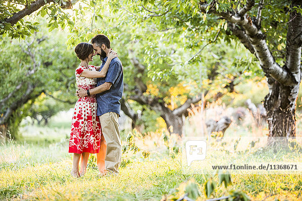Couple embracing in cherry orchard