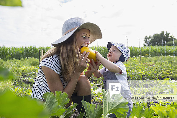 Ein kleiner Junge füttert seine Mutter im Gemeinschaftsgarten mit Zucchini