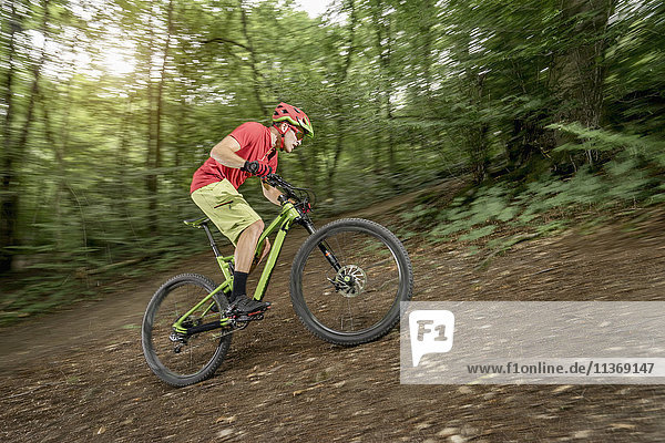 Mountain biker riding uphill in forest