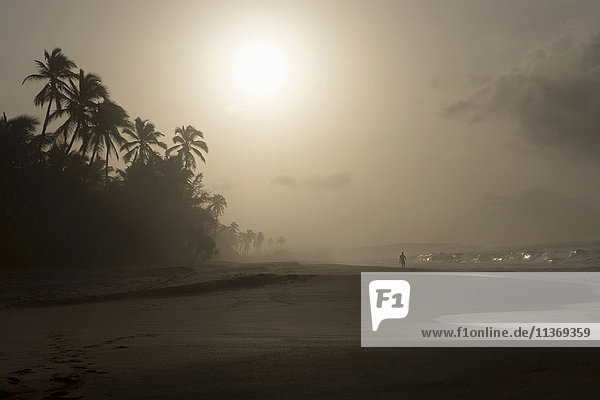 Mann  der bei Sonnenuntergang am Strand spazieren geht  Westprovinz  Sri Lanka