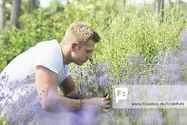 Junger Mann riecht an Blumen im städtischen Garten
