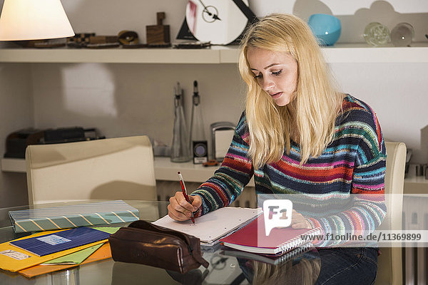 Junge Studentin macht Hausaufgaben im Wohnzimmer