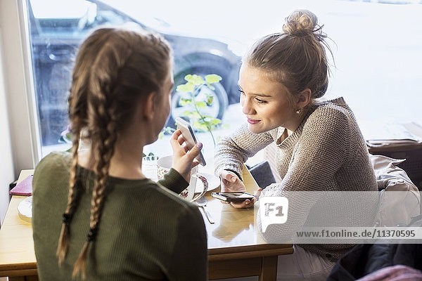 Teenage girls in cafe