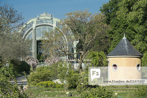 Frankreich  Paris  5. Bezirk. Jardin des plantes. Garten der Botanikschule und das große Tropengewächshaus