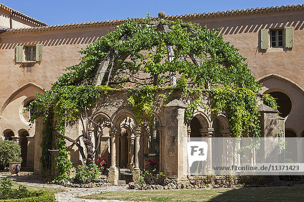 Frankreich  Südfrankreich  Vileveyrac  Zisterzienserabtei der Heiligen Maria von Valmagne  Klosterbrunnen