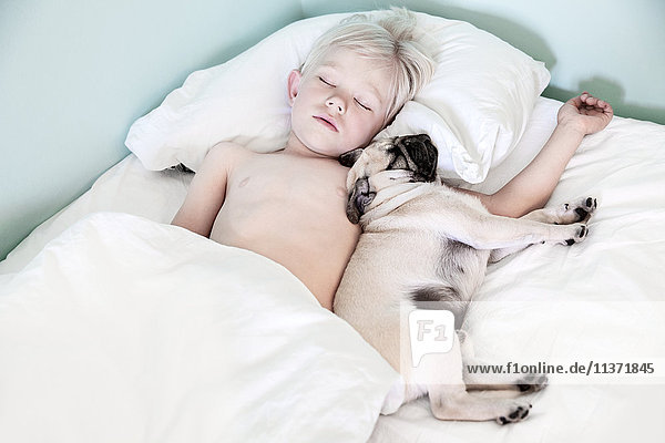 Boy sleeping with pug