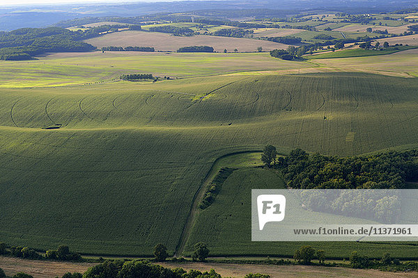 Frankreich  Dordogne  Luftaufnahme eines Maisfeldes