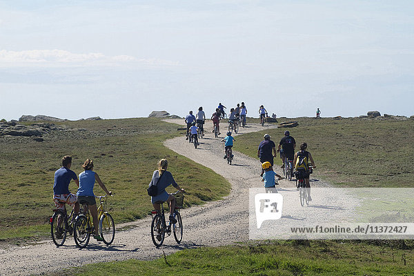 France  Western France  Yeu island  tourists riding bikes in the natural site of the northwestern part of the island.