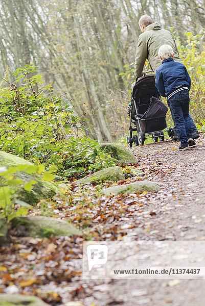 Father and son walking into forest