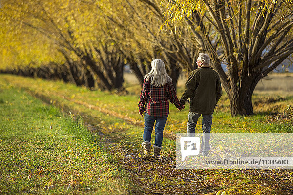 Kaukasisches Paar hält Hände in der Nähe von Bäumen im Herbst