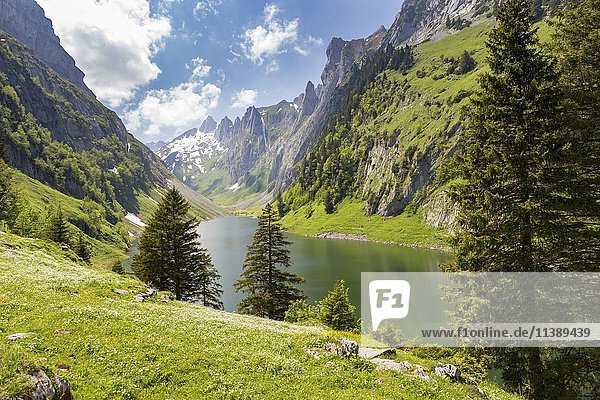 Fählensee mit Blick auf den Hundstein  Bollenwees  Rüte  Appenzell Innerrhoden  Schweiz  Europa