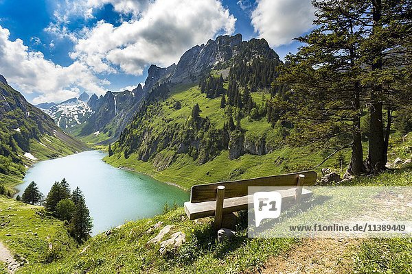 Aussichtsbank mit Blick auf den Fählensee  Rüte  Appenzell Innerrhoden  Schweiz  Europa