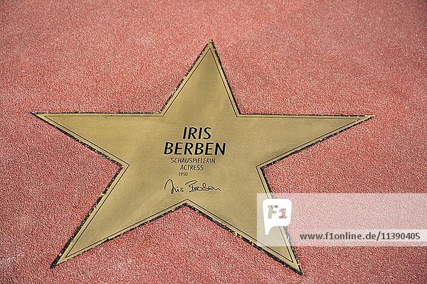 Stern von Schauspielerin Iris Berben  Boulevard der Stars  Berlin  Deutschland  Europa