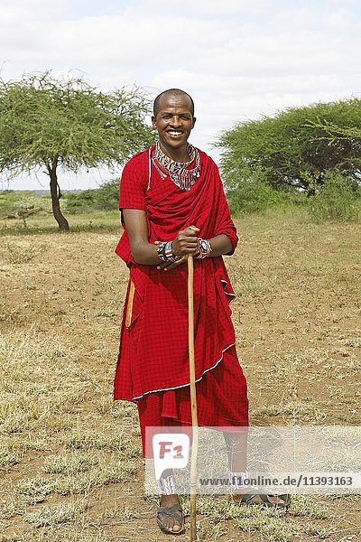 Männlicher Massai in traditioneller Shuka-Kleidung mit Hirtenstab  Tsavo West National Park  Taita-Taveta County  Kenia  Afrika