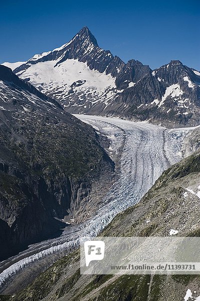 Aerial photograph  Fiescher Glacier in front of Finsteraarhorn and Wasenhorn  valley glacier with moraine  Canton of Valais  Swiss Alps  Switzerland  Europe