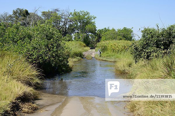 Ford with water  Moremi Game Reserve  Okavango Delta  Botswana  Africa
