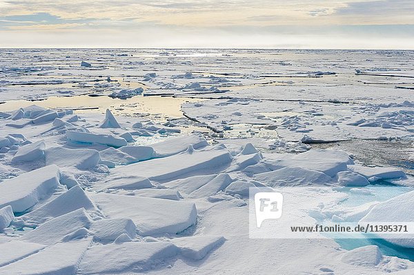 Packeis bei 81° Nord  Arktischer Ozean  Insel Spitzbergen  Svalbard Archipel  Norwegen  Europa